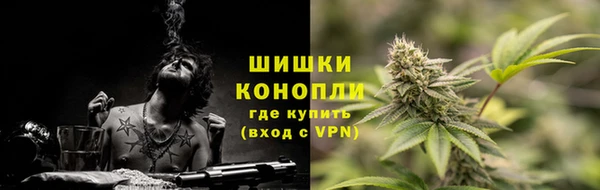 стаф Волосово