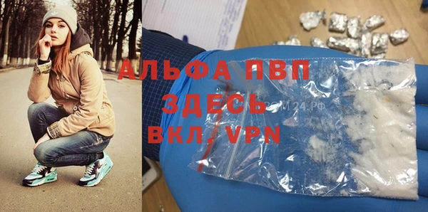стаф Волосово