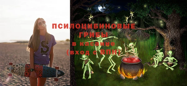 стаф Волосово