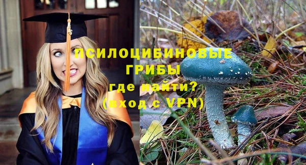 гашик Волоколамск