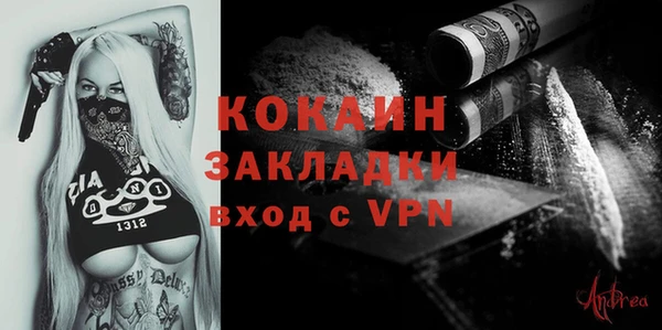стаф Волосово