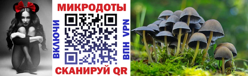 Галлюциногенные грибы мицелий  Купить  Буйнакск 