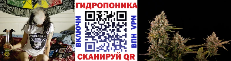 Купить  Буйнакск  Бошки марихуана MAZAR 